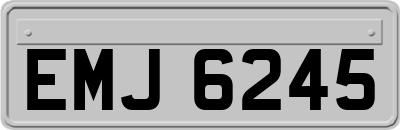 EMJ6245