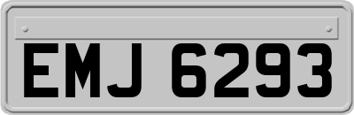 EMJ6293