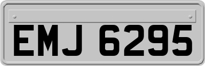 EMJ6295
