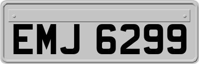EMJ6299
