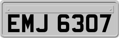 EMJ6307