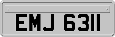 EMJ6311