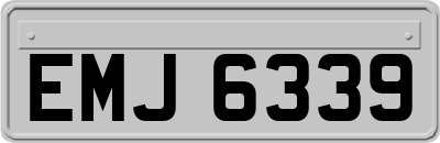 EMJ6339