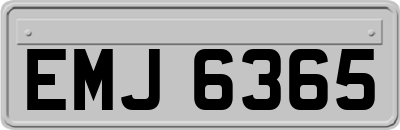 EMJ6365