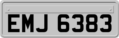 EMJ6383