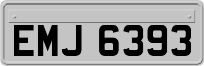 EMJ6393