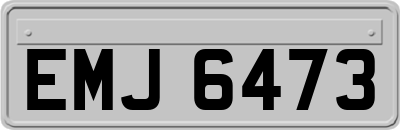 EMJ6473