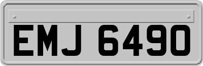 EMJ6490