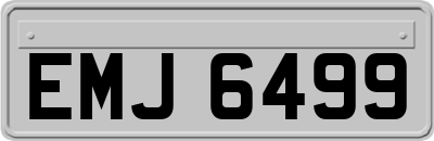 EMJ6499