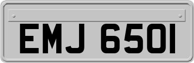 EMJ6501