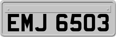 EMJ6503