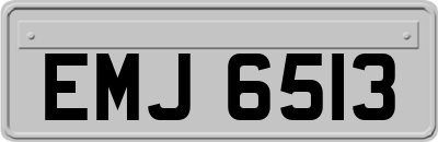EMJ6513
