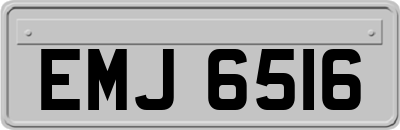 EMJ6516
