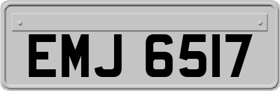EMJ6517