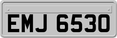 EMJ6530