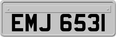 EMJ6531