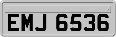EMJ6536