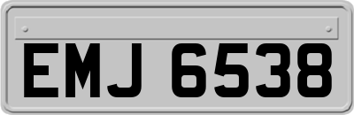 EMJ6538