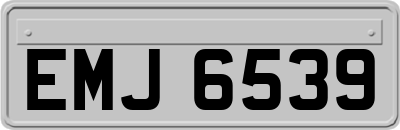 EMJ6539