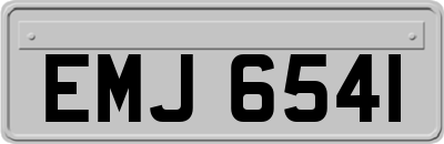 EMJ6541