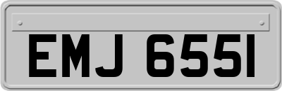 EMJ6551