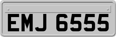 EMJ6555