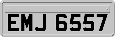 EMJ6557