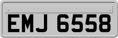 EMJ6558