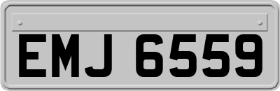 EMJ6559