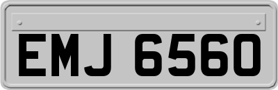 EMJ6560