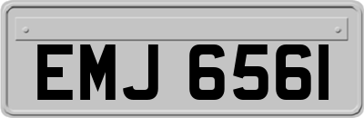 EMJ6561