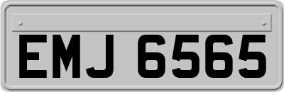 EMJ6565