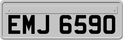 EMJ6590