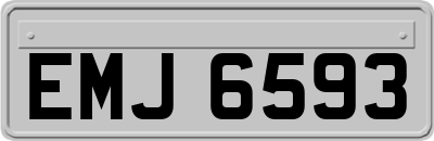 EMJ6593