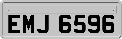 EMJ6596