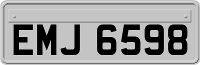 EMJ6598