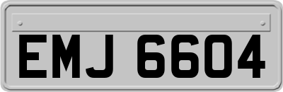 EMJ6604