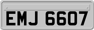 EMJ6607