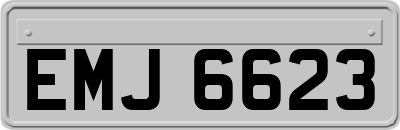 EMJ6623