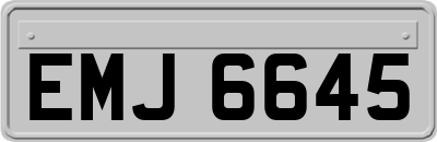 EMJ6645