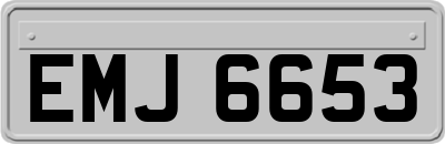 EMJ6653