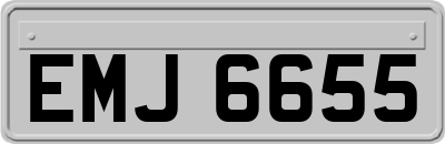 EMJ6655