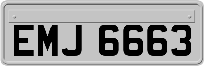 EMJ6663