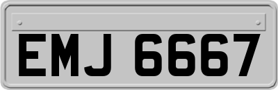 EMJ6667