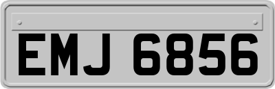 EMJ6856
