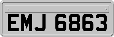 EMJ6863