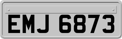 EMJ6873