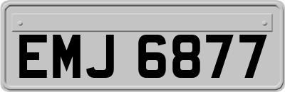 EMJ6877
