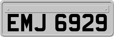 EMJ6929