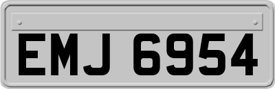 EMJ6954